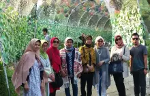 Gallery TOUR KOREA SELATAN <br>(SEOUL - MT. SORAK - NAMI ISLAND) 2 img_20160901_wa0047