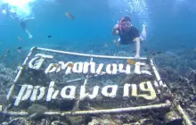 Gallery TOUR LAMPUNG (Pulau Pahawang) 10 img_20180217_wa0076