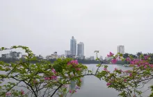 Gallery TOUR HANOI - HALONG BAY<br>HO CHI MINH CITY 13 img_20191114_123013_462